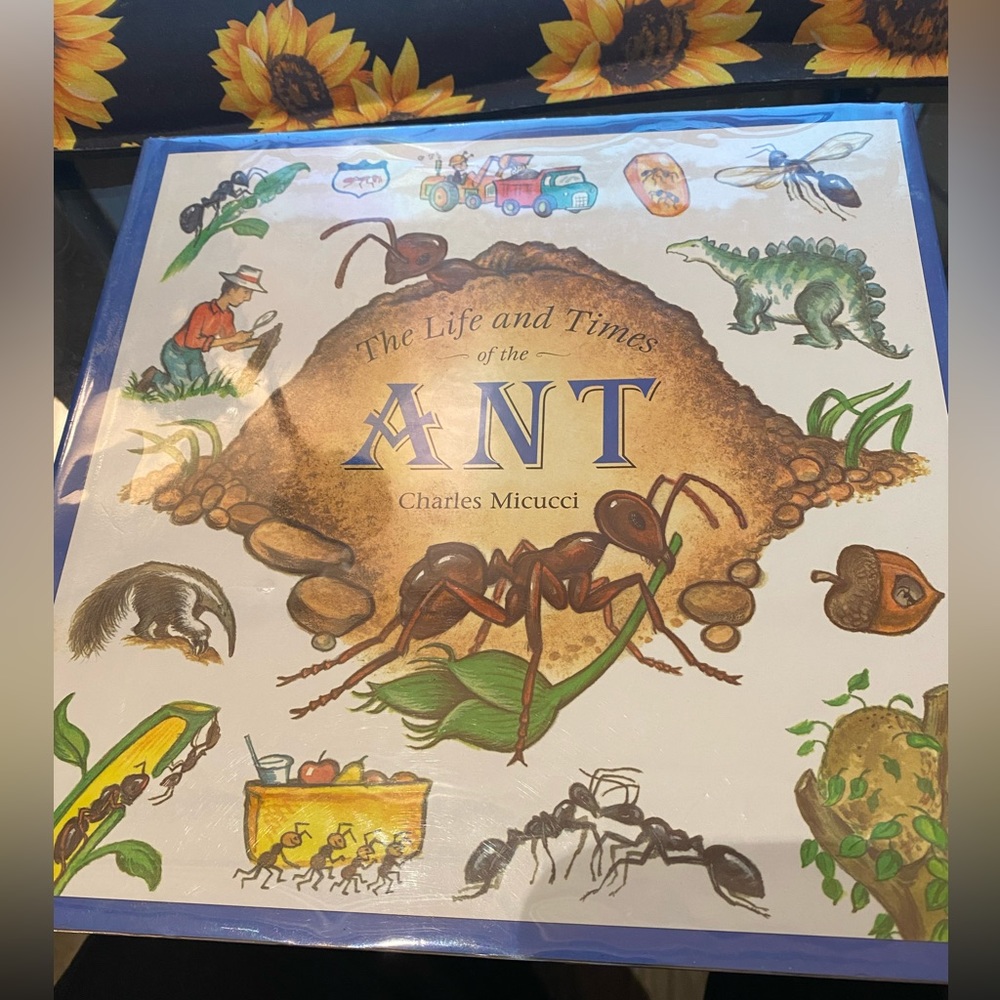 Used children’s hardcover edition book